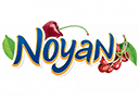 Noyan